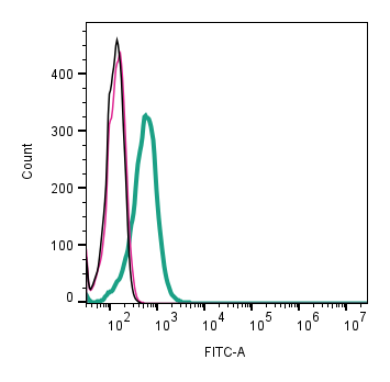Anti-LAT2 (SLC7A8) (extracellular)-FITC Antibody