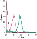 Anti-xCT/SLC7A11 (extracellular)-FITC Antibody