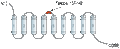 Anti-NIPA2 (extracellular) Antibody