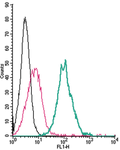 Anti-SLC11A1/NRAMP1 (extracellular)-FITC Antibody