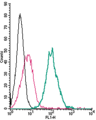 Anti-SLC11A1/NRAMP1 (extracellular)-FITC Antibody