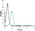 Anti-µ-Opioid Receptor (OPRM1) (extracellular)-ATTO Fluor-488 Antibody