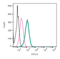 Anti-κ-Opioid Receptor (OPRK1) (extracellular)-FITC Antibody