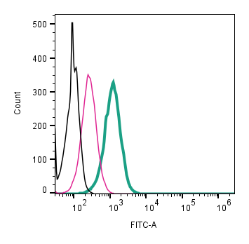 Anti-κ-Opioid Receptor (OPRK1) (extracellular)-FITC Antibody