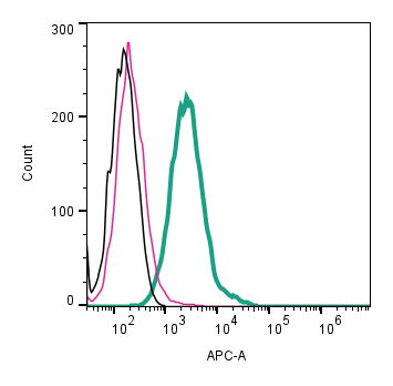 Anti-Piezo1 (extracellular)-APC Antibody