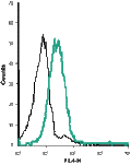 Anti-KV1.3 (KCNA3) (extracellular)-Biotin Antibody