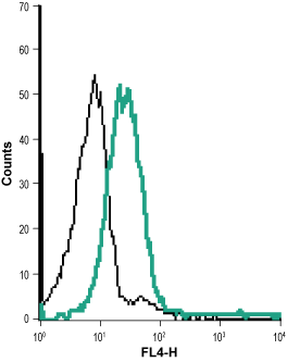 Anti-KV1.3 (KCNA3) (extracellular)-Biotin Antibody