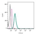 Anti-KV1.3 (KCNA3) (extracellular)-FITC Antibody