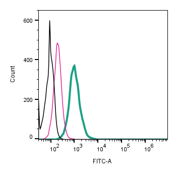 Anti-KV1.3 (KCNA3) (extracellular)-FITC Antibody