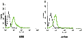 Anti-KCNH2 (HERG) (extracellular)-FITC Antibody