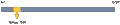Anti-KVβ2 Antibody