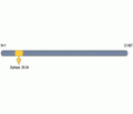 Kvβ2 Blocking Peptide