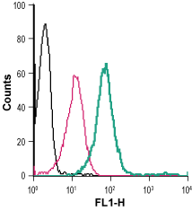 Anti-Kir2.1/KCNJ2 (extracellular)-FITC Antibody
