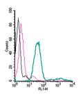Anti-P2X7 Receptor (extracellular)-FITC Antibody