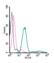 Anti-P2X7 Receptor (extracellular)-FITC Antibody