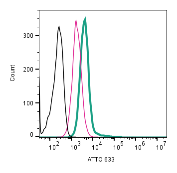 Anti-P2X7 Receptor (extracellular)-ATTO Fluor-633 Antibody