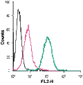 Anti-P2X7 Receptor (extracellular)-PE Antibody