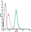 Anti-P2Y14 (extracellular)-FITC Antibody