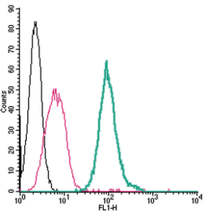 Anti-P2Y14 (extracellular)-FITC Antibody
