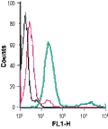 Anti-P2Y12 Receptor (extracellular)-FITC Antibody
