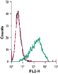 Anti-P2Y12 Receptor (extracellular)-PE Antibody