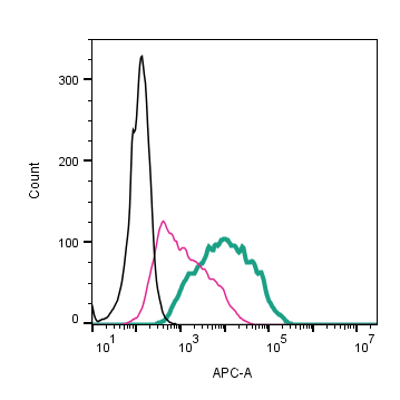 Anti-P2X1 Receptor (extracellular)-APC Antibody