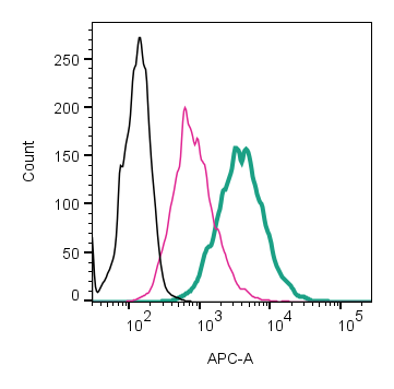 Anti-P2X4 Receptor (extracellular)-APC Antibody
