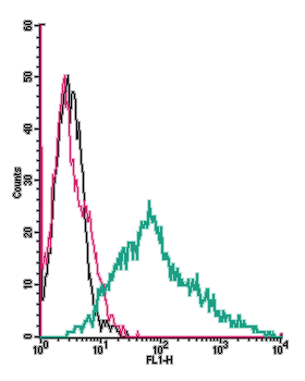 Anti-P2X3 Receptor (extracellular)-FITC Antibody
