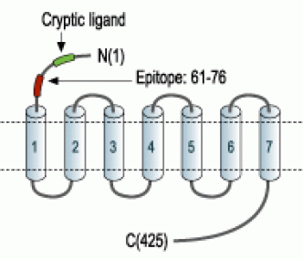 Human PAR1/F2R (extracellular) Blocking Peptide