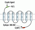 PAR2/F2RL1 Blocking Peptide
