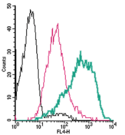 Anti-PAR4 (F2RL3) (extracellular)-APC Antibody