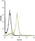 Anti-PAR4 (F2RL3) (extracellular)-FITC Antibody