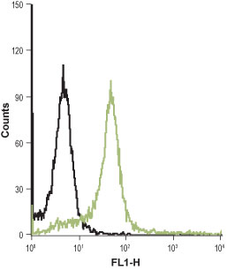 Anti-PAR4 (F2RL3) (extracellular)-FITC Antibody