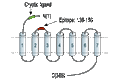 Anti-PAR4 (F2RL3) (extracellular) Antibody