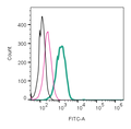 Anti-PAR1 (F2R) (extracellular)-FITC Antibody