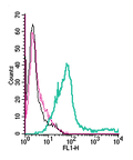 Anti-Platelet-activating factor receptor (extracellular)-FITC Antibody