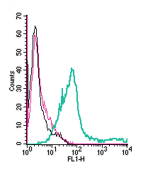 Anti-Platelet-activating factor receptor (extracellular)-FITC Antibody