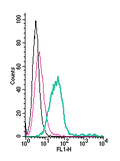 Anti-Prostacyclin Receptor (PTGIR) (extracellular)-FITC Antibody