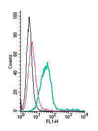 Anti-Prostacyclin Receptor (PTGIR) (extracellular)-FITC Antibody