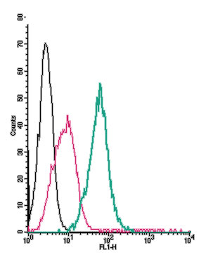 Anti-Plexin-C1 (extracellular)-FITC Antibody