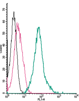 Anti-Thromboxane A2 Receptor (extracellular)-FITC Antibody