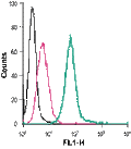 Anti-P2Y2 Receptor (extracellular)-FITC Antibody