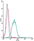 Anti-P2Y13 Receptor (extracellular)-FITC Antibody