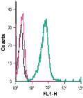 Anti-P2Y6 Receptor (extracellular)-FITC Antibody