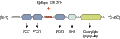 Anti-PSD-93 Antibody