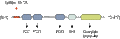 Anti-SAP102 Antibody