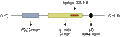 Anti-PICK1 Antibody