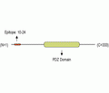 GIPC1 Blocking Peptide