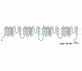 Nav1.8/SCN10A Blocking Peptide