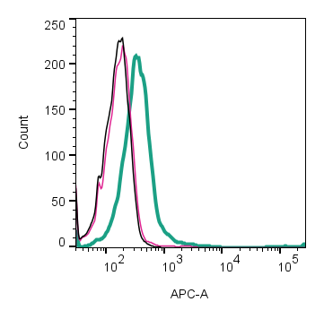 Anti-NaV1.5 (SCN5A) (extracellular) Antibody-APC